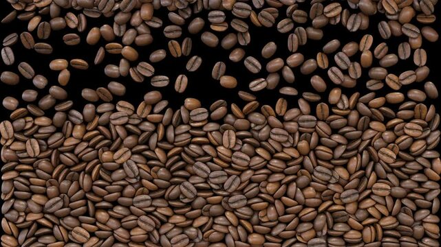 Roast coffee Beans Falling to Full Screen and isolated layer.Transition or logo consept. 3D animation render 4K