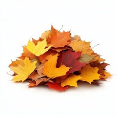 Fototapeta premium Pile of Vibrant Autumn Leaves Isolated on White Background