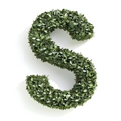 Lush Green Shrub Shaped Into Letter S against White Backdrop