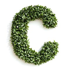 Letter C Shaped Shrub Isolated on White Background
