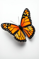 Naklejka premium A vibrant orange butterfly with black spots perched gracefully, showcasing the beauty of nature's intricate designs.