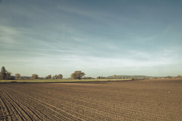 Obraz premium Plowed Field in the Morning - Feld - Wolken - Landschaft - Ecology - Nature - Concept - Environment - Clouds - Beautiful - Landscape - Background - Harvest - Green - Bio