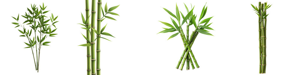 The image showcases various arrangements of bamboo, highlighting its vibrant green color and unique structure against a white background