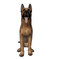German Shepard dog vector animal ilustration isolated template 