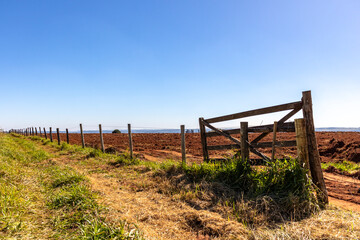 Fototapeta premium Wooden gate with sunflower plantation in the background, under blue sky 