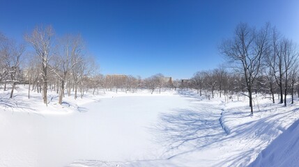 Fototapeta premium Winter Tranquility: Panoramic Urban Park Covered in Snow with Frozen Ponds and Bare Trees