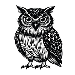Detailed Black and White Owl Illustration