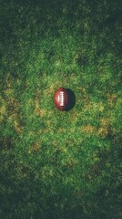 American Football on Green Grass Field
