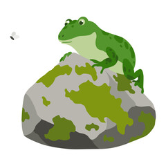 Picturesque natural pond inhabitant. Green frog on stone. Concept of outdoor scene. Vector cartoon illustration