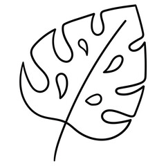 Hand drawn doodle tropical leaf on a white background.
