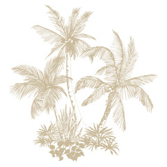 Tropical palm trees clipart. Hand drawn tropical illustration. Botanical sketch composition.