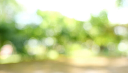 Blur background green park garden nature bright sunny forest. Blurry outdoor park in spring time glowing shinny day template with sunlight bokeh. Abstract blurred background banner copy space.