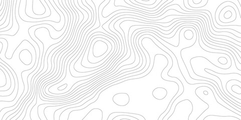 White wave paper curved reliefs abstract background. Abstract topographic contours map background. luxury topographic wavy pattern and geographic grid map design . Abstract lines background.