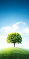 Obraz premium A solitary green tree stands atop a grassy hill under a bright blue sky, surrounded by soft clouds, evoking tranquility and nature's beauty.