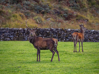 Travelling around the NC500 route in the North Coast of Scotland