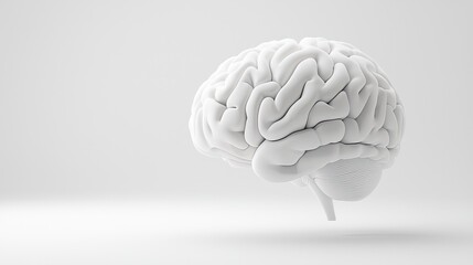 Abstract Representation of a Human Brain in White Color