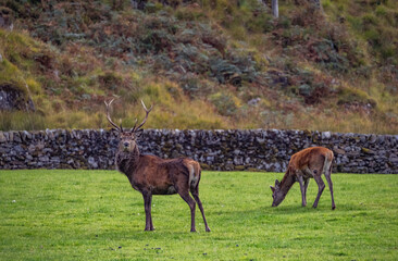 Travelling around the NC500 route in the North Coast of Scotland