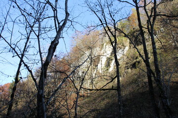 Natur