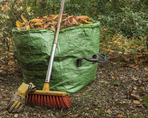Green recycling bag filled with autumn leaves together with a broom and gloves illustrating the work every gardener faces when trees start to shed their leaves