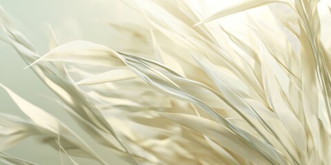 Minimalist close-up of dry grass blades in soft golden light, capturing delicate textures and natural elegance in a serene composition