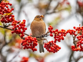 Travelling around the NC500 route in the North Coast of Scotland