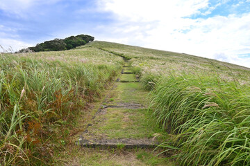 秋の長崎県平戸市 川内峠ススキの草原