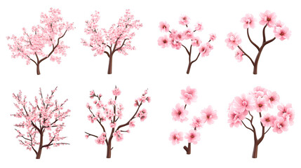 Fototapeta premium Collection of cherry blossom trees in various styles isolate on transparent background, png, cutout