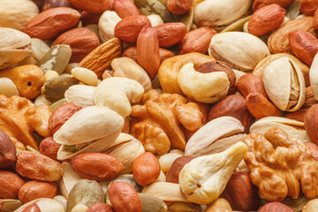 Variety of nuts and seeds closeup with selective focus - peeled walnut, hazelnuts, peeled peanut, pine nut kernels, almond seeds, cashew seeds, pistachio nuts in the shell, pumpkin seeds