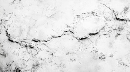 Fototapeta premium Light gray concrete wall background, raw and minimalistic, Raw Gray Concrete Wall Texture for Minimalist Design