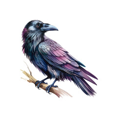 Fototapeta premium Watercolor Raven in Dark Grey and Purple Tones – perfect for fantasy art, gothic themes, and nature illustrations.