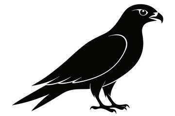 Falcon Silhouette, Falcon Bird Vector, Falcon Black Silhouette Vector isolated on a white background