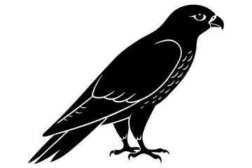 Falcon Silhouette, Falcon Bird Vector, Falcon Black Silhouette Vector isolated on a white background