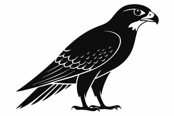 Falcon Silhouette, Falcon Bird Vector, Falcon Black Silhouette Vector isolated on a white background
