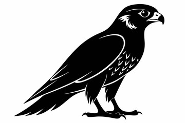 Falcon Silhouette, Falcon Bird Vector, Falcon Black Silhouette Vector isolated on a white background