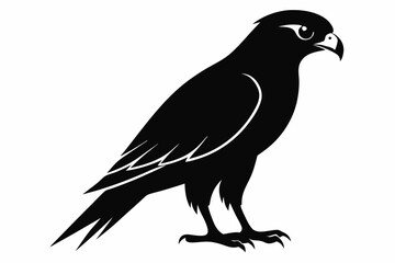 Falcon Silhouette, Falcon Bird Vector, Falcon Black Silhouette Vector isolated on a white background