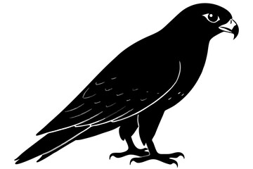 Falcon Silhouette, Falcon Bird Vector, Falcon Black Silhouette Vector isolated on a white background