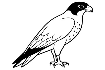 Falcon Silhouette, Falcon Bird Vector, Falcon Black Silhouette Vector isolated on a white background