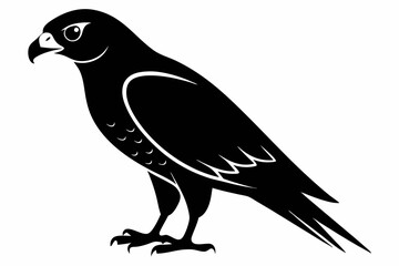 Falcon Silhouette, Falcon Bird Vector, Falcon Black Silhouette Vector isolated on a white background