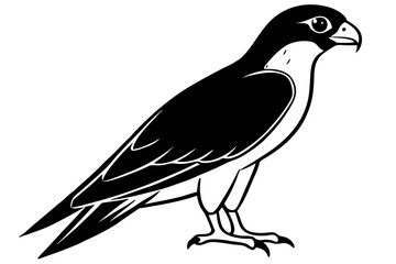 Falcon Silhouette, Falcon Bird Vector, Falcon Black Silhouette Vector isolated on a white background