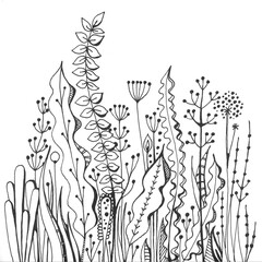 Beautifully drawn for coloring underwater flora. Black and white illustration with algae.