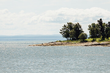 Tranquil Coastal Landscape with Trees and Calm Ocean Waters