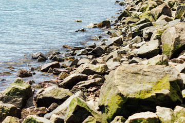 Rocky Shoreline by a Calm Ocean on a Sunny Day