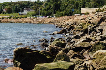 Rocky Shoreline with Lush Greenery and Calm Waters
