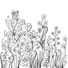 Beautiful floral pattern, hand drawn with a gel pen. Black and white drawing for coloring, printing on fabric.