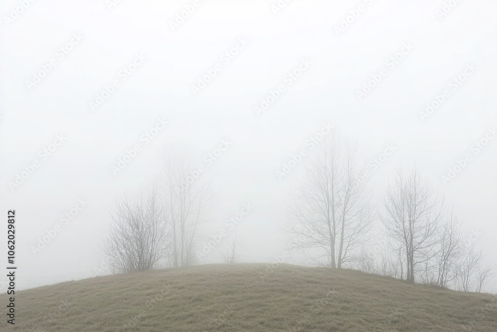 Poster a foggy day with trees in the background