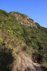 A Rugged Mountain Trail Winds Through Lush Green Foliage