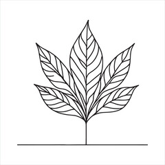 mango leaves line art silhouette on white background