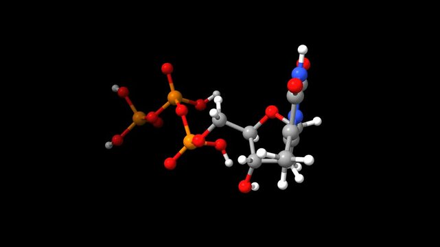 Structure of thymidine triphosphate. Animated 3D ball-and-stick and space-filled models, black background.