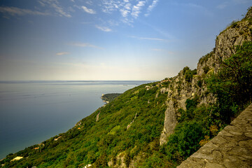 A cliff overlooks a beautiful water body, surrounded by green trees