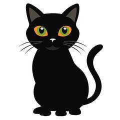 black-cat-white-background